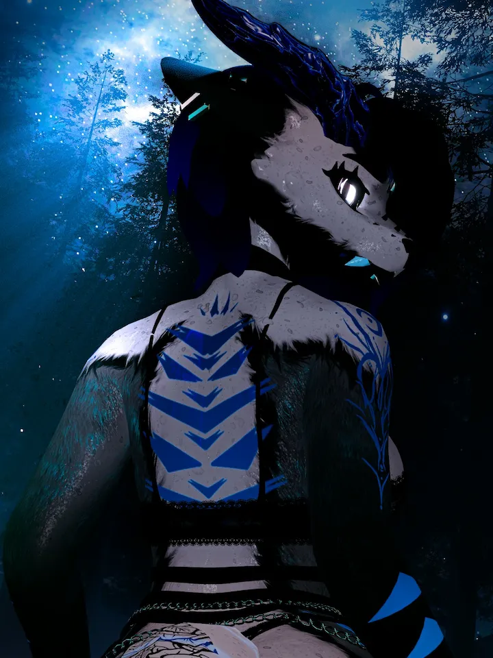 WOLF0's poster